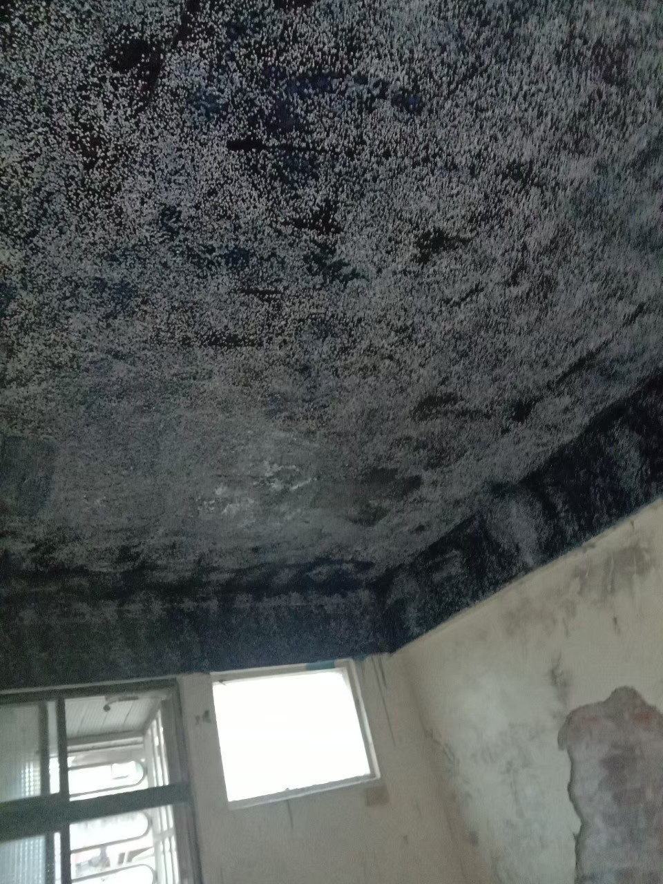 新北市民宅 碳纖維補強